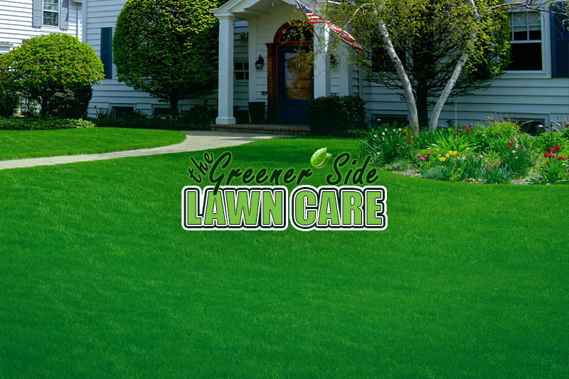 Ideal HTML Web Design for lawn care company in Papillion, NE